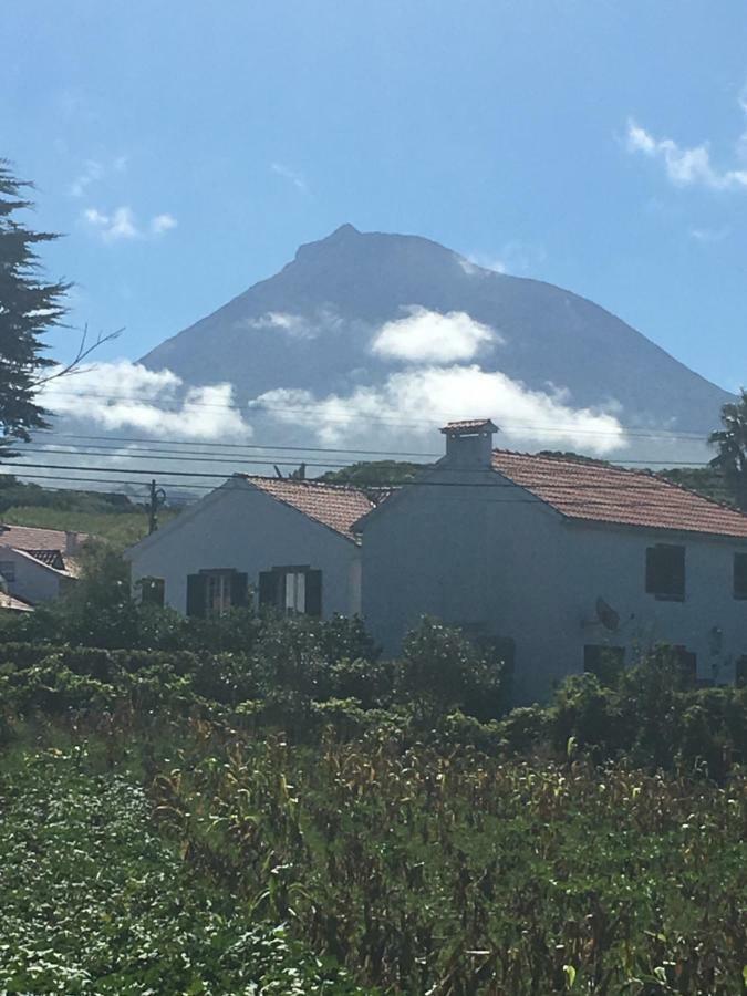 Home Pico - Casa Dos Cedros Criacao Velha Eksteriør bilde